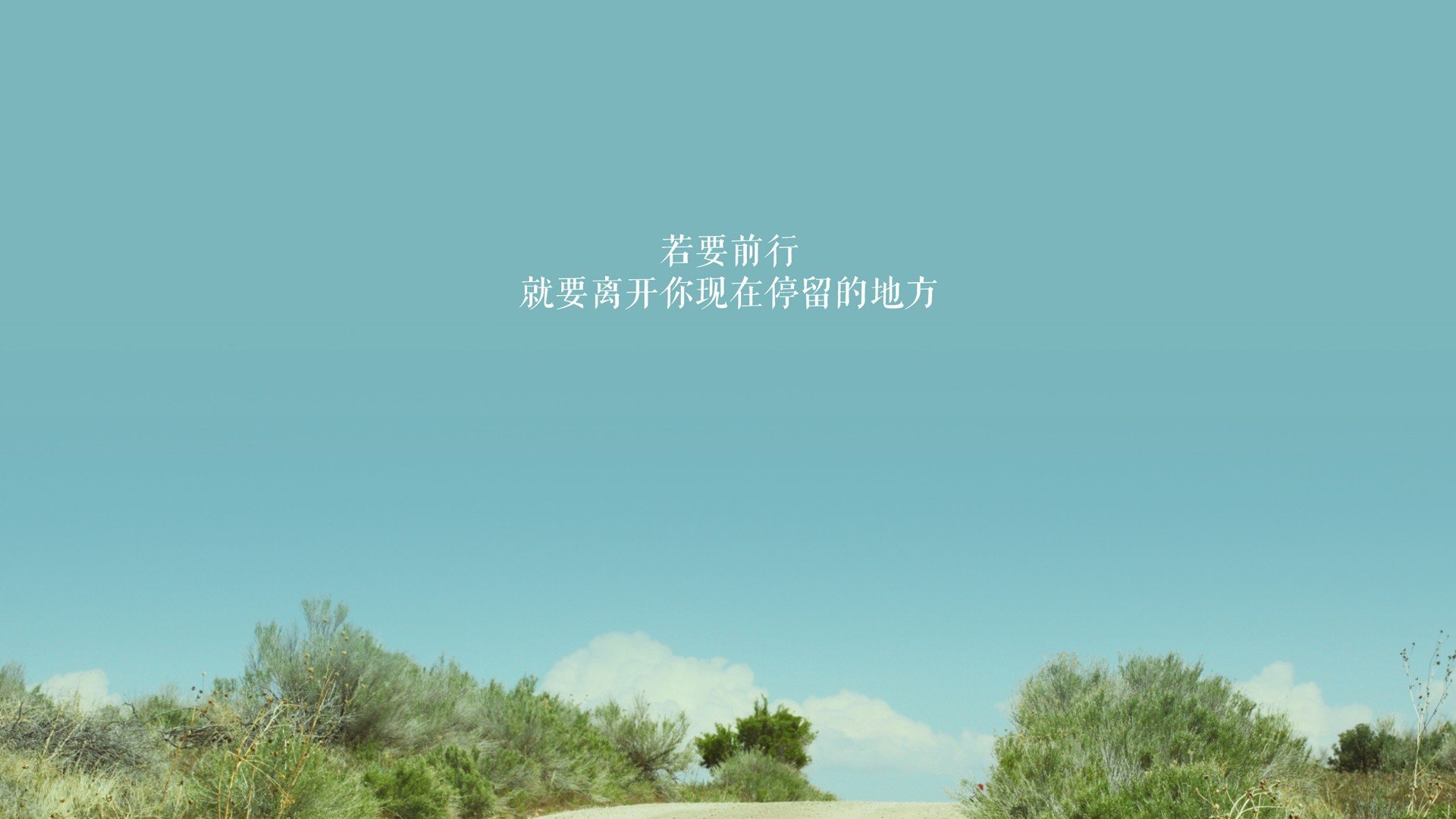 _午夜灯光跑：在光影中体验运动的魅力_，午夜风光的车长什么样
