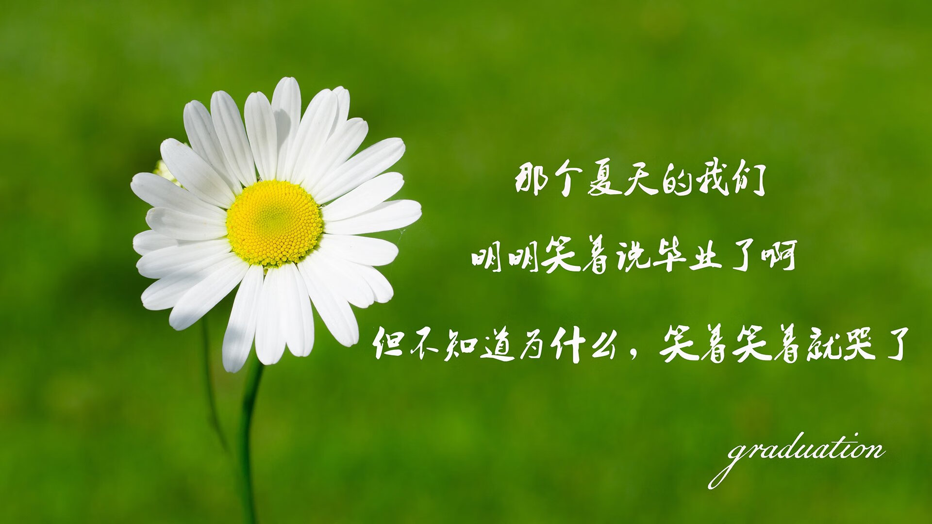 开云·体育官网-《【幕后探秘】职业选手心理训练全揭秘》，职业选手心理素质
