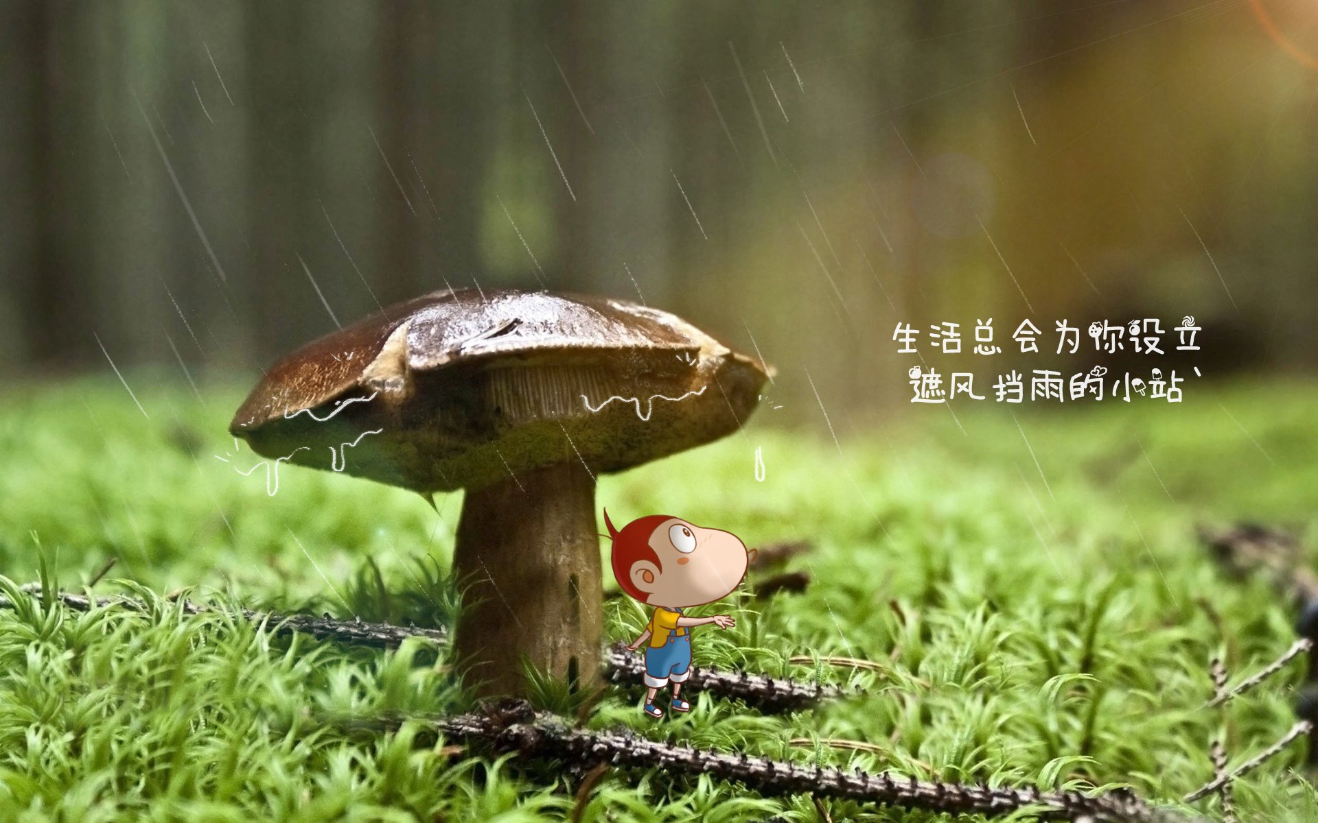开云·Kaiyun网页版-中国足球的球员技术提升路径，中国足球规划球员水平
