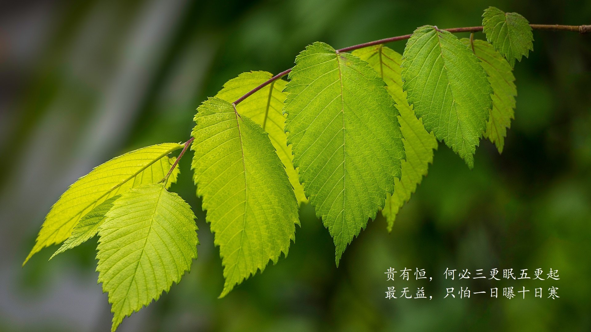 kaiyun中国官方网站-电竞赛事智能化管理系统的设计思路与实现技术分析，电子竞技赛事运营模式