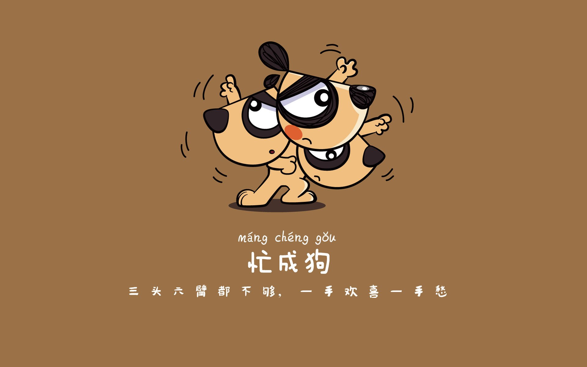 线上健身课程受欢迎，学员遍布全国，线上健身教练有用吗