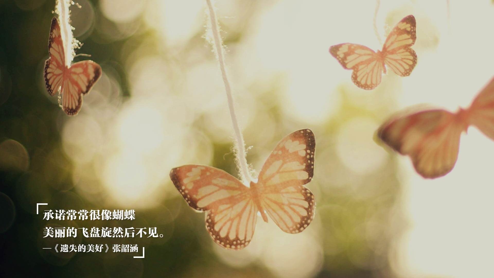 中超联赛媒体开放日增强球迷与球队双向互动,中超对球迷开放