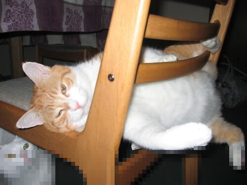 曼联主场迎战切尔西,争夺关键积分