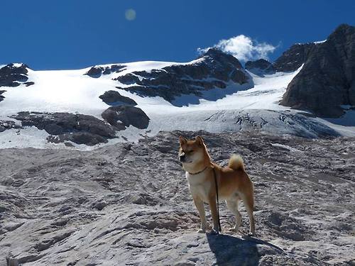 李娜任青少年大满贯推广形象大使，李娜大满贯总战绩