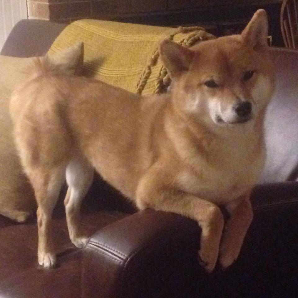 青训体系引入分层次教学策略优化球员培养路径，青训理念